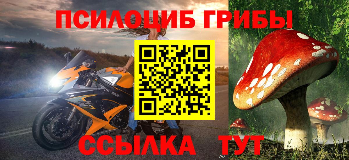Псилоцибиновые грибы мухоморы  Вход с VPN  Прохладный 